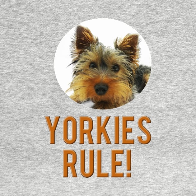 Yorkies Rule! by Naves